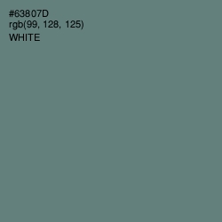 #63807D - Viridian Green Color Image